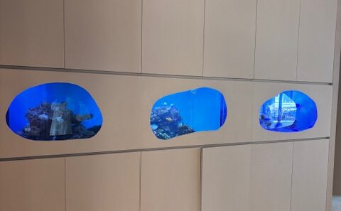 店内の壁に設置された熱帯魚の水槽